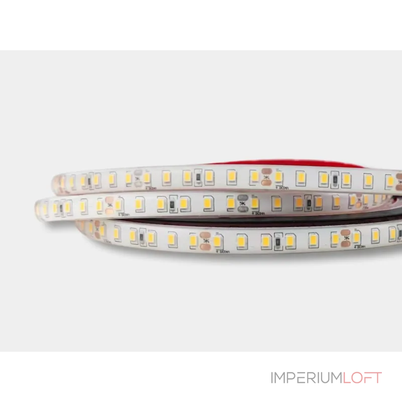 Светодиодная лента SWG Standard SWG2120-24-9.6-W-65-NEW от ImperiumLoft