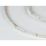Лента светодиодная SWG PRO SMD 2835 128 LED/м 11,5 Вт/м 24В IP20 Холодный белый от ImperiumLoft