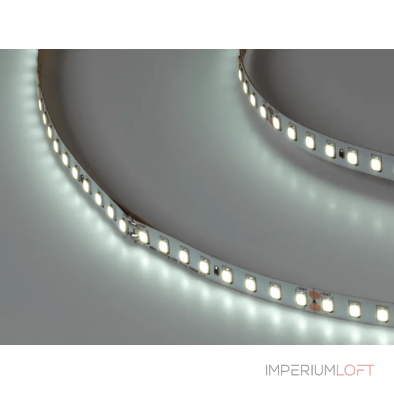 Лента светодиодная SWG PRO SMD 2835 128 LED/м 11,5 Вт/м 24В IP20 Холодный белый от ImperiumLoft