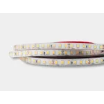 Светодиодная лента SWG Standard SWG2120-24-9.6-NW-65-NEW от ImperiumLoft