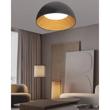 Потолочный светильник Alfa Light F0724-13 Потолочный светильник Alfa Light F0724-13