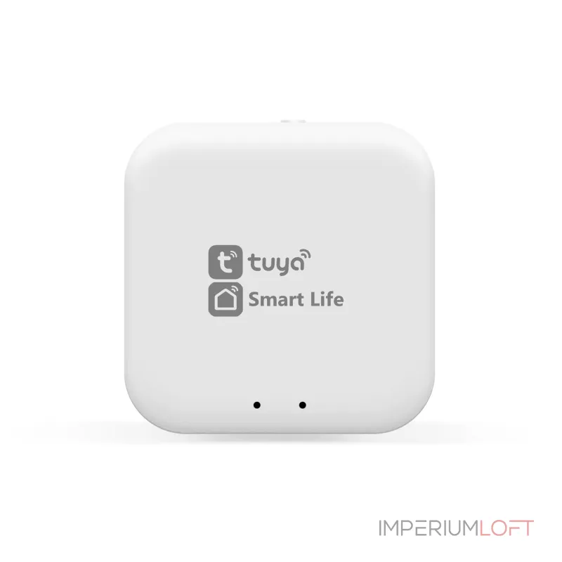 Конвертер Wi-Fi управления светильниками Wi-Fi TUYA/Smart Life Ambrella TRACK SYSTEM GL1920 от ImperiumLoft
