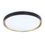 Потолочный светодиодный светильник с высокой степенью защиты IP54 Ambrella ORBITAL FZ1249 от ImperiumLoft