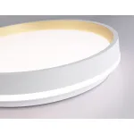 Светодиодный светильник RGB с пультом управления Ambrella ORBITAL FZ601 от ImperiumLoft