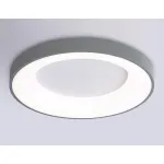 Потолочный светодиодный светильник с пультом Ambrella ORBITAL FZ1402 от ImperiumLoft