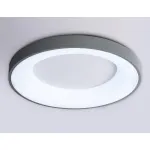 Потолочный светодиодный светильник с пультом Ambrella ORBITAL FZ1402 от ImperiumLoft