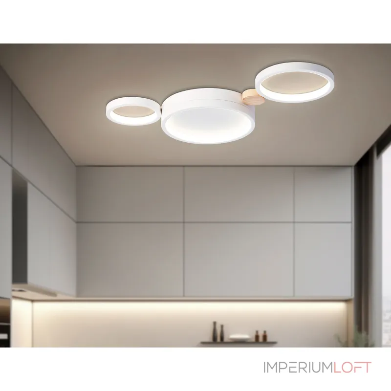 Настенно-потолочный светильник Ambrella COMFORT FL4812