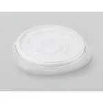 Потолочный светильник Ambrella ORBITAL Dance FZ1610 от ImperiumLoft