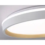 Светодиодный светильник RGB с пультом управления Ambrella ORBITAL FZ607 от ImperiumLoft