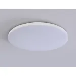 Умный светодиодный светильник Smart Ambrella Light 20W с Wi-Fi, Яндекс Алисой, Tuya, Smart Home, Alexa и ИК пультом Ambrella ORBITAL FZ2001 от ImperiumLoft