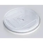 Потолочный светильник Ambrella ORBITAL FZ FZ1751 от ImperiumLoft