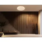 Потолочный светильник Ambrella ORBITAL FZ FZ1751 от ImperiumLoft