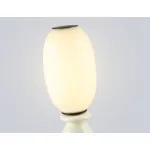 Настольная лампа Ambrella HIGH LIGHT LH LH53154 от ImperiumLoft
