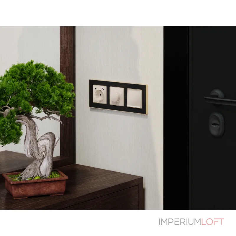 Лицевая панель для электрической розетки с заземлением со шторками 2USB C+C Ambrella Volt ALFA AP3105