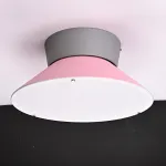 Потолочный светильник KNAP D40 Pink от ImperiumLoft