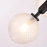 Подвесной светильник RAFFIN 4 Transparent Black