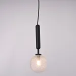 Подвесной светильник RAFFIN Black/Transparent