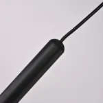 Подвесной светильник RAFFIN Black/Transparent