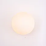 Настенный светильник Tip of the Tongue - Wall Mounted, 2015 L D20 от ImperiumLoft