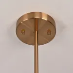 Люстра на штанге Gooseneck Pelle Chandelier