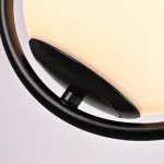 Подвесной светильник HOOP DROP Black от ImperiumLoft