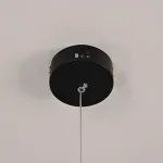 Подвесной светильник Brokis Night Birds black B от ImperiumLoft