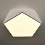 Потолочный светодиодный светильник GEOMETRIC White D40 от ImperiumLoft