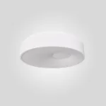 Потолочный светильник ECLA D45 от ImperiumLoft