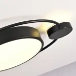 Потолочный светильник DESTIN D40 Black от ImperiumLoft