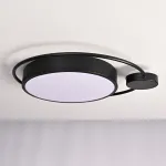 Потолочный светильник DESTIN D40 Black от ImperiumLoft