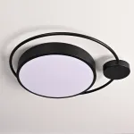 Потолочный светильник DESTIN D40 Black от ImperiumLoft