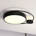 Потолочный светильник DESTIN D40 Black от ImperiumLoft