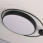 Потолочный светильник DESTIN D60 Black от ImperiumLoft