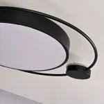 Потолочный светильник DESTIN D50 Black от ImperiumLoft