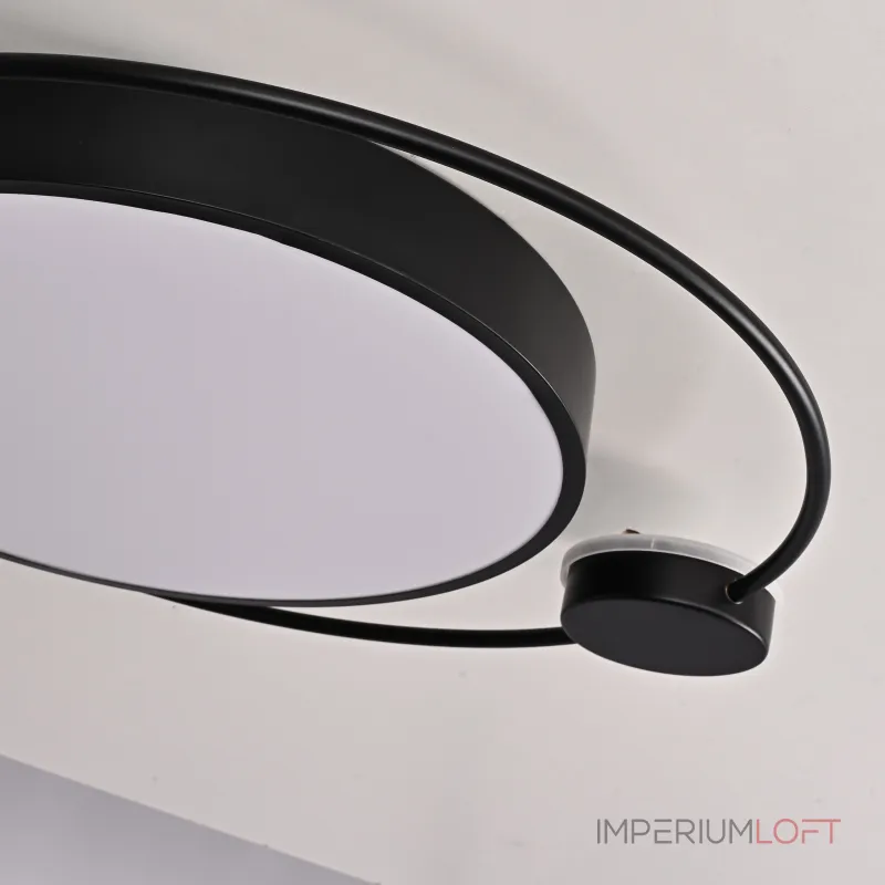 Потолочный светильник DESTIN D50 Black от ImperiumLoft