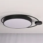 Потолочный светильник DESTIN D60 Black от ImperiumLoft