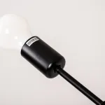 Люстра на штанге LATE D55 Black от ImperiumLoft