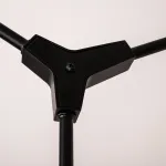 Люстра на штанге LATE D55 Black от ImperiumLoft