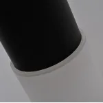 Подвесной светильник Tevra Black D11