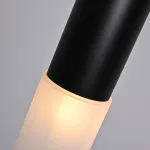 Подвесной светильник Tevra Black D11