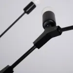 Люстра на штанге LATE D103 Black от ImperiumLoft