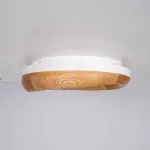 Потолочный светильник RUNIS D45 Light brown от ImperiumLoft