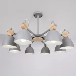 Люстра на штанге ROLLA 8 Gray
