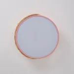 Потолочный светильник CLIP Pink D30 от ImperiumLoft