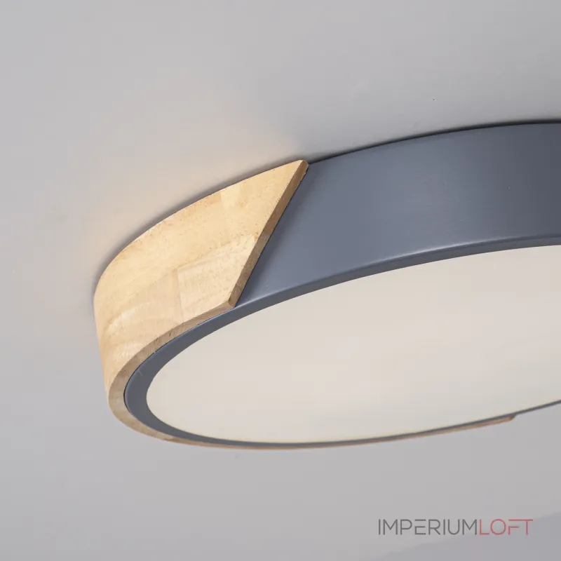 Потолочный светильник CLIP Grey D50 от ImperiumLoft