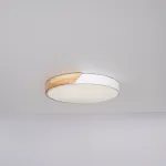 Потолочный светильник CLIP White D40 от ImperiumLoft