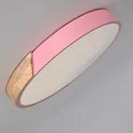 Потолочный светильник CLIP Pink D40 от ImperiumLoft