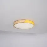 Потолочный светильник CLIP Yellow D40 от ImperiumLoft