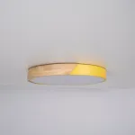 Потолочный светильник CLIP Yellow D40 от ImperiumLoft