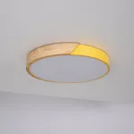 Потолочный светильник CLIP Yellow D40 от ImperiumLoft